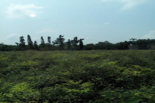 Langha Road (9)compress.jpg
